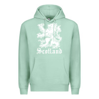 Seafoam youth scotland Premium Hoodie - DesignPulse