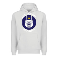 Dove Grey us army alaska polar bear patch t shirt Premium Hoodie - DesignPulse
