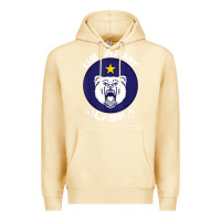 Pina Colada us army alaska polar bear patch t shirt Premium Hoodie - DesignPulse
