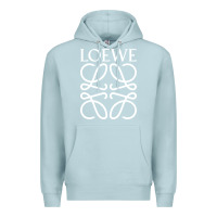 Blue Mist loewe Premium Hoodie - DesignPulse