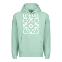 Seafoam loewe Premium Hoodie - DesignPulse