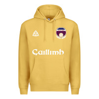 Antique Gold galway gaillimh irish gaelic football and hurling premium Premium Hoodie - DesignPulse