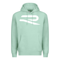 Seafoam wolsvagen r Premium Hoodie - PixelWave
