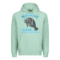 Seafoam manatee gifts Premium Hoodie - PixelWave