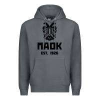 Rock paok merch Premium Hoodie - PixelWave
