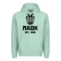 Seafoam paok merch Premium Hoodie - PixelWave