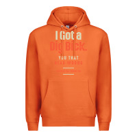 Carrot I Got a Dig Bick Funny Sarcastic Humor Premium Hoodie - Craftify
