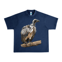 Navy Vulture Bird Urban Heavy Tee - LillyAllenDesigns