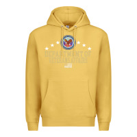 Antique Gold department of veterans affairs Premium Hoodie - Craftify