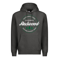 Charcoal Heather womens redwood national park california gifts souvenir ca v neck t shi Premium Hoodie - Craftify