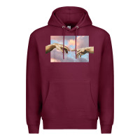 Creation Of Adam Hands Aesthetic T Shirt Premium Hoodie | Teevron