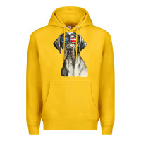 Lemon great dane sunglasses american usa flag 4th of july fourth t shirt Premium Hoodie - InspiraDesign
