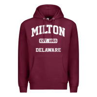 Milton Delaware De Vintage State Athletic Style T Shirt Premium Hoodie | Teevron