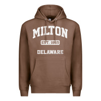 Chestnut milton delaware de vintage state athletic style t shirt Premium Hoodie - InspiraDesign