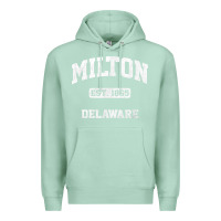 Seafoam milton delaware de vintage state athletic style t shirt Premium Hoodie - InspiraDesign