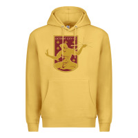 Antique Gold usa,  detroit city fc Premium Hoodie - InspiraDesign