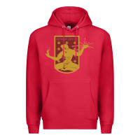 Cardinal usa,  detroit city fc Premium Hoodie - InspiraDesign