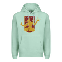 Seafoam usa,  detroit city fc Premium Hoodie - InspiraDesign