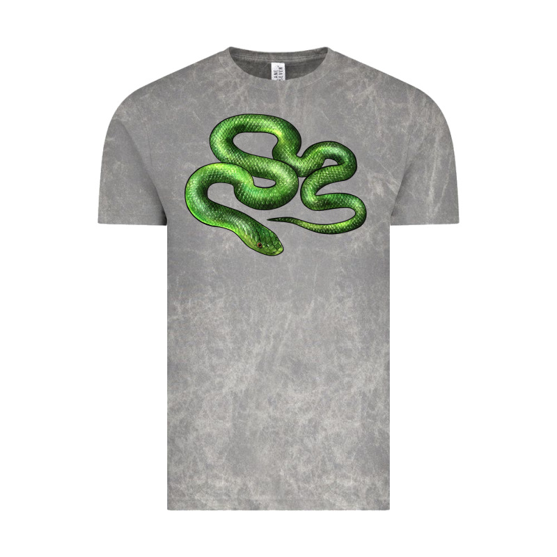 Boomslang Snake Vintage Tee by LillyAllenDesigns | Teevron