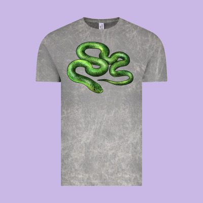 Boomslang Snake Vintage Tee Designed By Lillyallendesigns