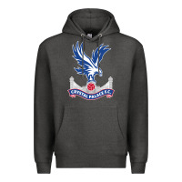 Charcoal Heather the-crystal-palace-f.c.-cool Premium Hoodie - InspiraDesign