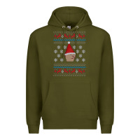 Gnome Boi   Runescape Premium Hoodie | Teevron