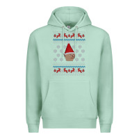 Seafoam gnome boi   runescape Premium Hoodie - ArtChic