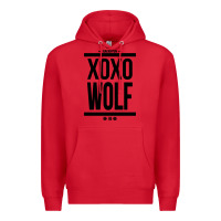 Red EXO WOLF  BaekHyun 88  KPOP Text Style Premium Hoodie - ArtChic