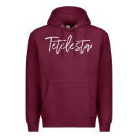 Burgundy Tetelestai, Greek It Is Finished, Christian Easter Premium Hoodie - ArtChic