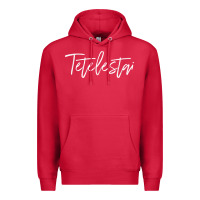 Cardinal Tetelestai, Greek It Is Finished, Christian Easter Premium Hoodie - ArtChic