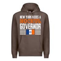 New York Needs A Hochul Governor Kathy Hochul 2022 New York T Shirt Premium Hoodie | Teevron