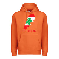 Carrot Lebanon Flag Cedar Tree Beirut Lebanese Arabic Arab Islam Premium Hoodie - StudioElite