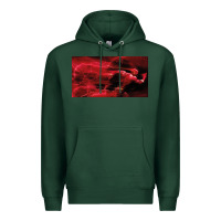 Sports Green The Flash Premium Hoodie - PixelFlow