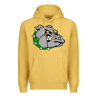 Antique Gold ashville high school, ashville bulldogs Premium Hoodie - PixelFlow