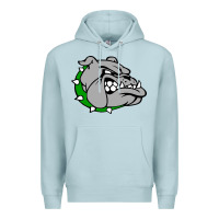 Blue Mist ashville high school, ashville bulldogs Premium Hoodie - PixelFlow