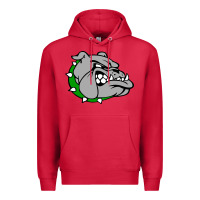 Cardinal ashville high school, ashville bulldogs Premium Hoodie - PixelFlow