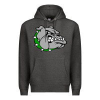 Charcoal Heather ashville high school, ashville bulldogs Premium Hoodie - PixelFlow
