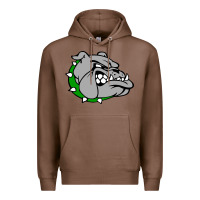 Chestnut ashville high school, ashville bulldogs Premium Hoodie - PixelFlow