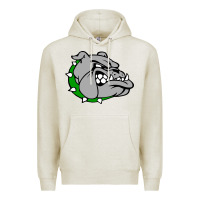 Oatmeal Heather ashville high school, ashville bulldogs Premium Hoodie - PixelFlow