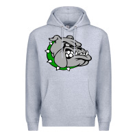Heather Grey ashville high school, ashville bulldogs Premium Hoodie - PixelFlow