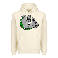 Sandshell ashville high school, ashville bulldogs Premium Hoodie - PixelFlow
