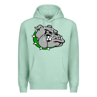 Seafoam ashville high school, ashville bulldogs Premium Hoodie - PixelFlow