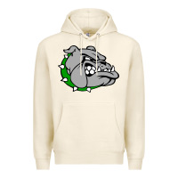 Tofu ashville high school, ashville bulldogs Premium Hoodie - PixelFlow
