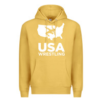 Antique Gold usa power united states Premium Hoodie - PixelFlow
