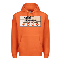 Carrot welcome to new granada! Premium Hoodie - PixelFlow