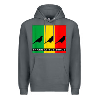 Rock THREE LITTLE BIRDS Premium Hoodie - PixelFlow