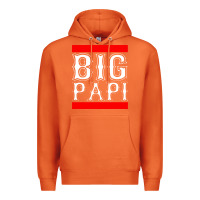 Carrot big papi Premium Hoodie - PixelFlow