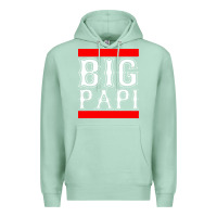 Seafoam big papi Premium Hoodie - PixelFlow