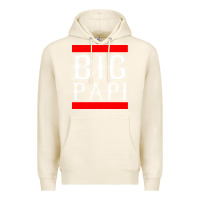 Tofu big papi Premium Hoodie - PixelFlow