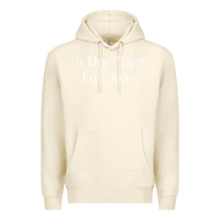 Sandshell in dog years i'm dead Premium Hoodie - PixelFlow